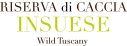 logocaccia